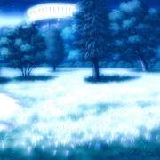 求学的哲明的个人资料头像