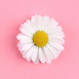 认真克劳德1G头像