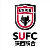 球迷渭南势力头像