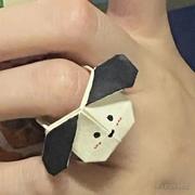 一只DaoE的个人资料头像