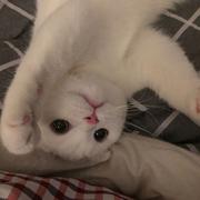 __468的个人资料头像