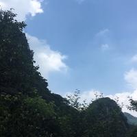 风中d橙子959头像