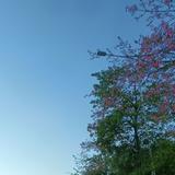 用户3937978474250头像