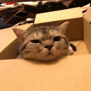 用户3402794025793的个人资料头像