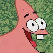 不想写代码的星星的个人资料头像