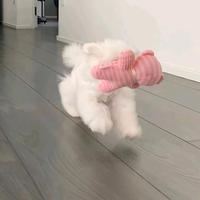 用户9424490338757头像