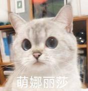 维达气泡水的个人资料头像