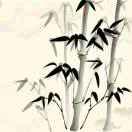 路遥重名了的个人资料头像