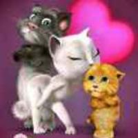 风中的砾沙头像