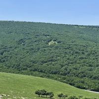 世界不再书上头像