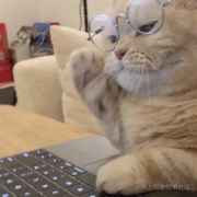 前端小孙的个人资料头像