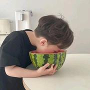 admin212的个人资料头像