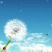 左遇右见的个人资料头像