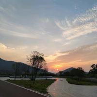 Monk的领克900头像