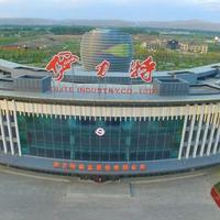 顽强蛋糕4Q8头像