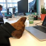 Jr的个人资料头像