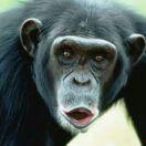 路晓明的个人资料头像