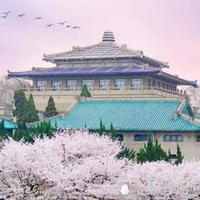 洒脱的风生水起头像