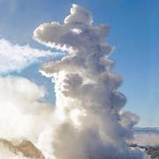 房东的熊猫_的个人资料头像