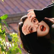 抹茶脑袋的个人资料头像