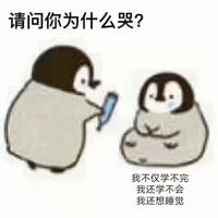 粥粥爱吃yu头像