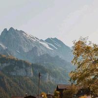 正能量伶伶头像