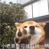 咔嚓脆鸡肉味头像