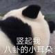 麟不是林头像