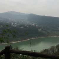 深秋一叶头像