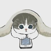花惹毛的个人资料头像