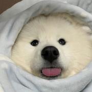 GaGa777的个人资料头像