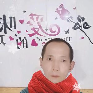 杨明辉头像