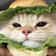 DoublePeach的个人资料头像