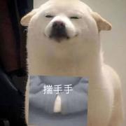 技术分享猿的个人资料头像