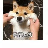 自贡四达长安汽车头像