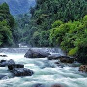 abc的个人资料头像