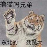 细腻贾斯蒂斯0I5头像