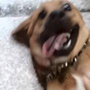 父亲写的散文诗的个人资料头像