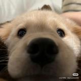 用户9683666899658头像