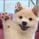 是园儿吖头像