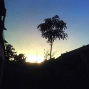 杉只凶许的个人资料头像