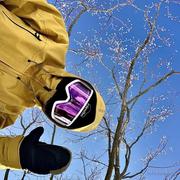 Mo649564的个人资料头像