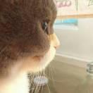 天行健酱44633的个人资料头像