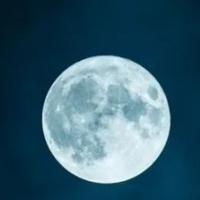 小灰灰大橙子头像