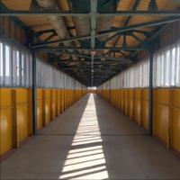 下周放不放假头像