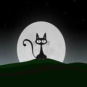 Vgbire475的个人资料头像