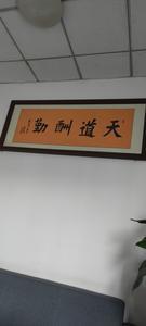 很幸福的挣扎头像