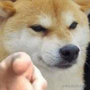 啊强强的个人资料头像