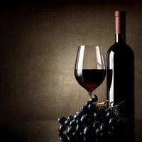 港口搬运工aia88565头像