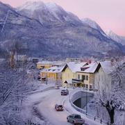 绝处逢生的个人资料头像